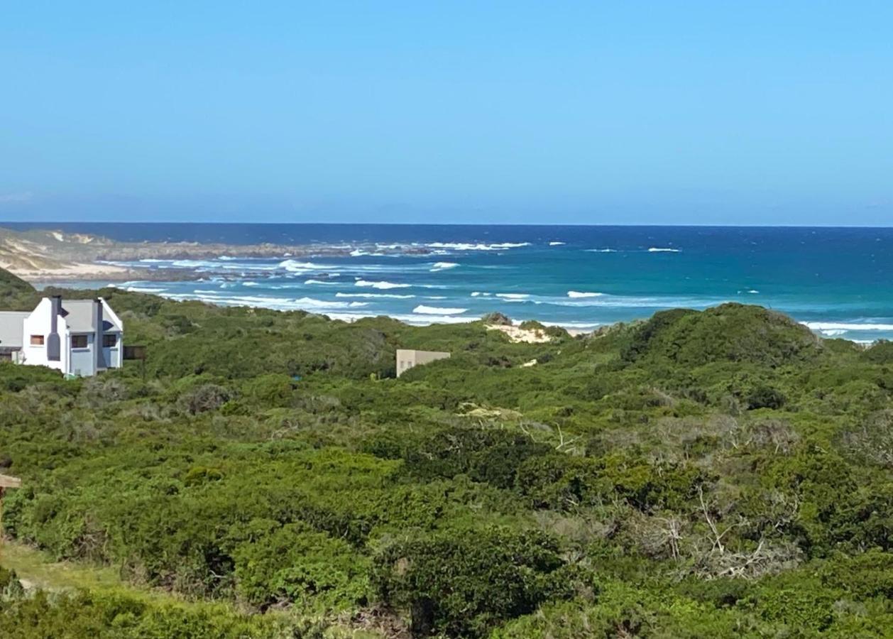 圣弗朗西斯角A Real Gem In Cape St Francis别墅 外观 照片