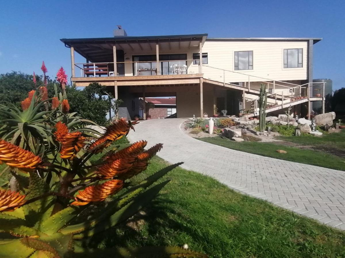 圣弗朗西斯角A Real Gem In Cape St Francis别墅 外观 照片